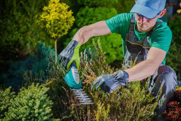 landscaping services Van Wert